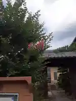 西方山極楽寺(岐阜県)