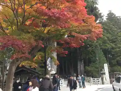 高野山金剛峯寺(和歌山県)