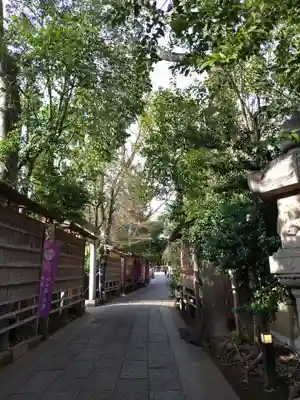 戸越八幡神社(東京都)