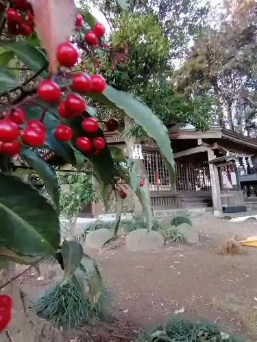 弓田香取神社の自然
