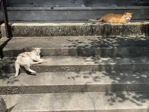 一心寺・一心禅寺(愛知県)
