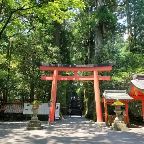 箱根神社の鳥居