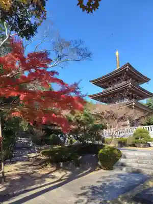 村松虚空蔵堂（日高寺）(茨城県)