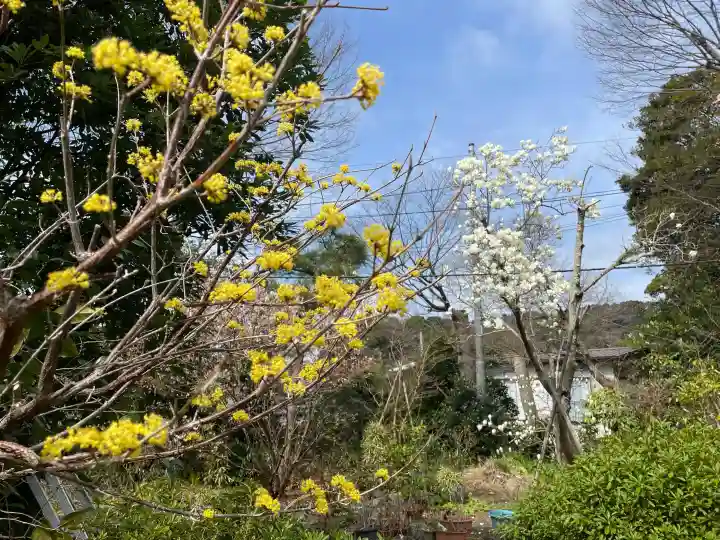 妙法寺の{uncategorized: "未分類", other: "その他", undefined: "問題あり", building: "その他建物", grave: "お墓", sacred_gate: "鳥居", guardian: "狛犬", statue: "像", buddha: "仏像", history: "歴史", nature: "自然", garden: "庭園", animal: "動物", pagoda: "塔", temizu: "手水舎", mountain_gate: "山門・神門", sanctuary: "本殿・本堂", subordinate: "末社・摂社", art: "芸術", scenery: "景色", jizo: "地蔵", ema: "絵馬", goshuin: "御朱印", omikuji: "おみくじ", items: "授与品その他", amulet: "お守り", goshuincho: "御朱印帳", eats: "食事", festival: "お祭り", votive_dance: "神楽", shichigosan: "七五三参", wedding: "結婚式", experience: "体験その他", initially: "初詣", around: "周辺", anti_infection: "感染症対策"}
