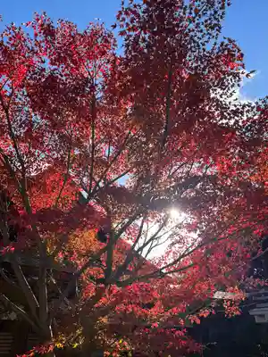 鹿嶋神社(兵庫県)