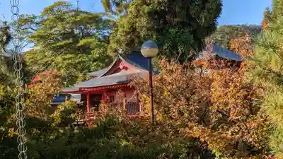 大覚寺(京都府)