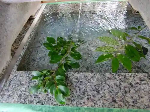 大宮・大原神社の手水舎