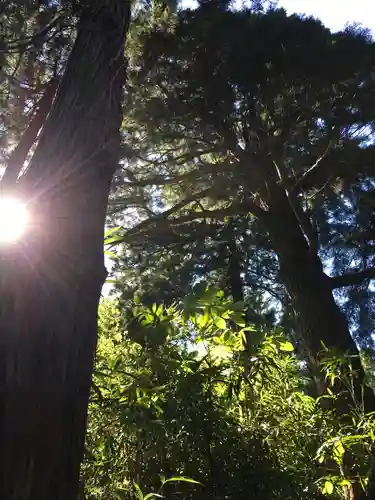 六座神社の周辺