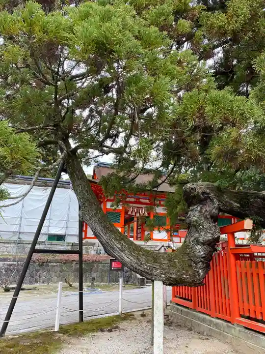 香椎宮(福岡県)