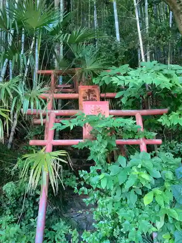 観月山稲荷神社の鳥居