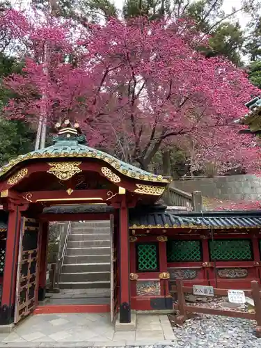 久能山東照宮の山門・神門