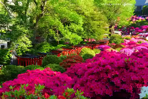 根津神社(東京都)