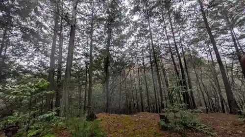 秋葉神社(京都府)
