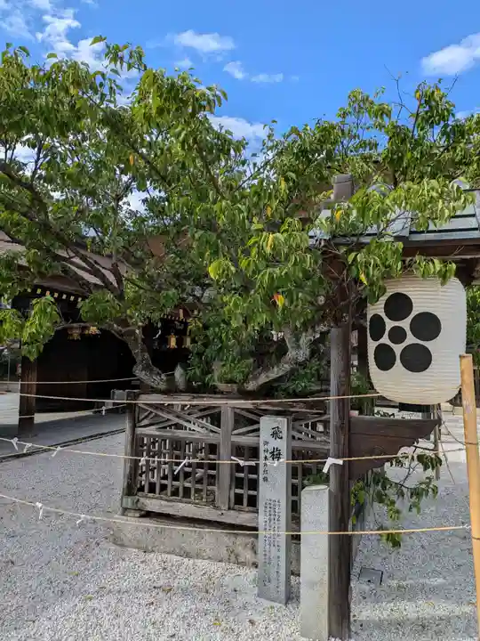 北野天満宮(京都府)