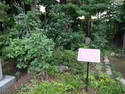 埼玉縣護國神社のその他建物