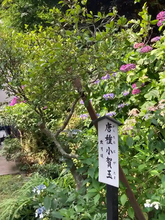 佛日庵(神奈川県)