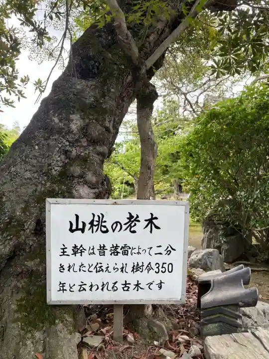 勧修寺(京都府)