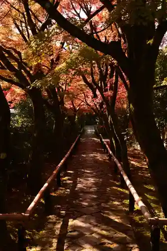 光悦寺(京都府)