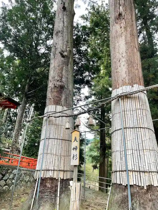 仲山神社(美杉町八知)(三重県)