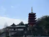 総本山 本福寺の{uncategorized: "未分類", other: "その他", undefined: "問題あり", building: "その他建物", grave: "お墓", sacred_gate: "鳥居", guardian: "狛犬", statue: "像", buddha: "仏像", history: "歴史", nature: "自然", garden: "庭園", animal: "動物", pagoda: "塔", temizu: "手水舎", mountain_gate: "山門・神門", sanctuary: "本殿・本堂", subordinate: "末社・摂社", art: "芸術", scenery: "景色", jizo: "地蔵", ema: "絵馬", goshuin: "御朱印", omikuji: "おみくじ", items: "授与品その他", amulet: "お守り", goshuincho: "御朱印帳", eats: "食事", festival: "お祭り", votive_dance: "神楽", shichigosan: "七五三参", wedding: "結婚式", experience: "体験その他", initially: "初詣", around: "周辺", anti_infection: "感染症対策"}