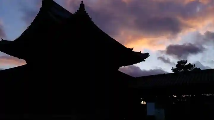 妙心寺(妙心禅寺)の景色