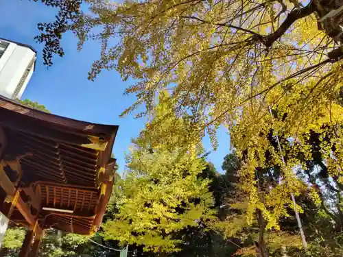 渋谷氷川神社の自然
