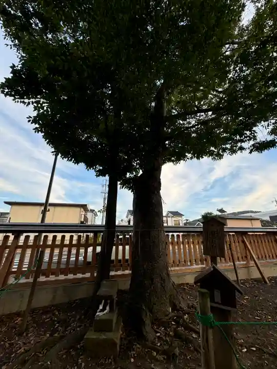 科野大宮社(長野県)