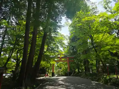 日吉大社(滋賀県)