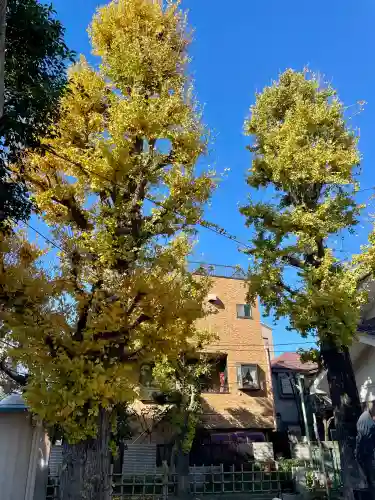 東貫森稲荷神社(東京都)
