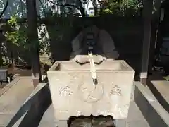 天沼熊野神社の手水