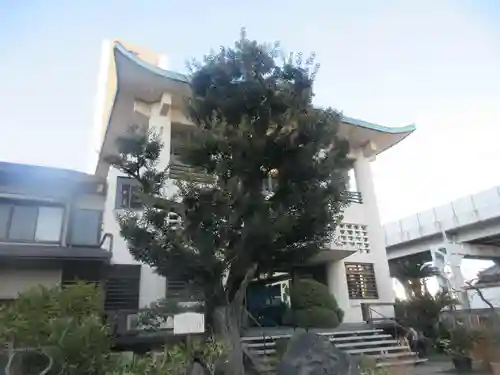 妙蓮寺(東京都)