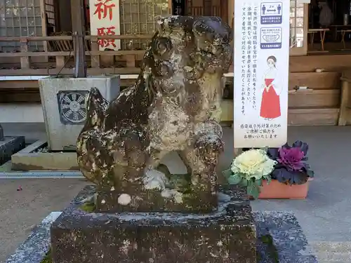 大村神社の狛犬