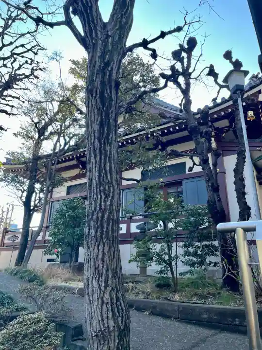 仙寿院の{uncategorized: "未分類", other: "その他", undefined: "問題あり", building: "その他建物", grave: "お墓", sacred_gate: "鳥居", guardian: "狛犬", statue: "像", buddha: "仏像", history: "歴史", nature: "自然", garden: "庭園", animal: "動物", pagoda: "塔", temizu: "手水舎", mountain_gate: "山門・神門", sanctuary: "本殿・本堂", subordinate: "末社・摂社", art: "芸術", scenery: "景色", jizo: "地蔵", ema: "絵馬", goshuin: "御朱印", omikuji: "おみくじ", items: "授与品その他", amulet: "お守り", goshuincho: "御朱印帳", eats: "食事", festival: "お祭り", votive_dance: "神楽", shichigosan: "七五三参", wedding: "結婚式", experience: "体験その他", initially: "初詣", around: "周辺", anti_infection: "感染症対策"}