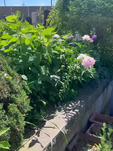 浄信寺(神奈川県)