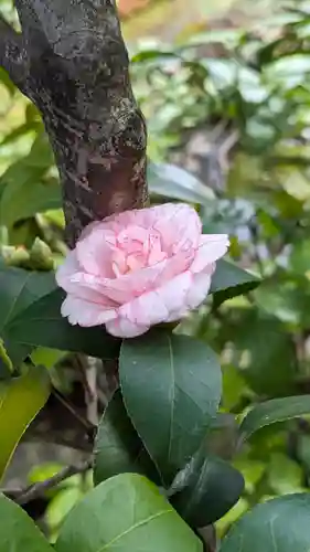 宝蔵寺(京都府)