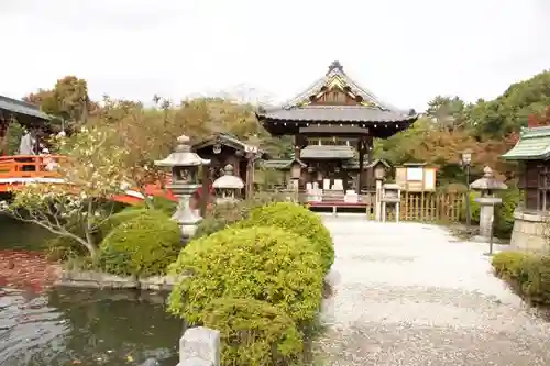 神泉苑の庭園