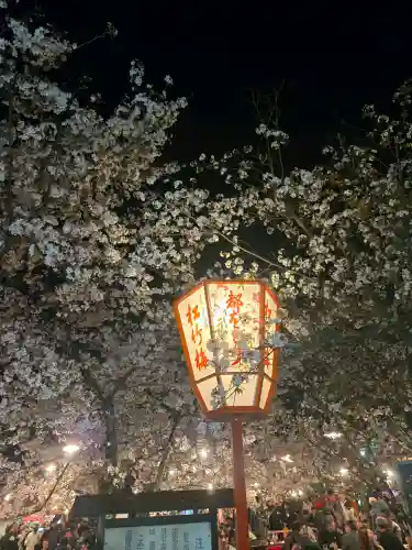 八坂神社(祇園さん)の{uncategorized: "未分類", other: "その他", undefined: "問題あり", building: "その他建物", grave: "お墓", sacred_gate: "鳥居", guardian: "狛犬", statue: "像", buddha: "仏像", history: "歴史", nature: "自然", garden: "庭園", animal: "動物", pagoda: "塔", temizu: "手水舎", mountain_gate: "山門・神門", sanctuary: "本殿・本堂", subordinate: "末社・摂社", art: "芸術", scenery: "景色", jizo: "地蔵", ema: "絵馬", goshuin: "御朱印", omikuji: "おみくじ", items: "授与品その他", amulet: "お守り", goshuincho: "御朱印帳", eats: "食事", festival: "お祭り", votive_dance: "神楽", shichigosan: "七五三参", wedding: "結婚式", experience: "体験その他", initially: "初詣", around: "周辺", anti_infection: "感染症対策"}