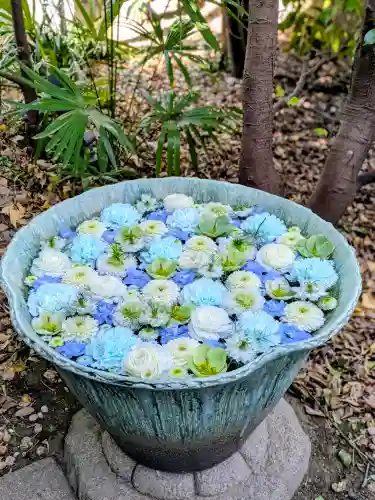 行田八幡神社の{uncategorized: "未分類", other: "その他", undefined: "問題あり", building: "その他建物", grave: "お墓", sacred_gate: "鳥居", guardian: "狛犬", statue: "像", buddha: "仏像", history: "歴史", nature: "自然", garden: "庭園", animal: "動物", pagoda: "塔", temizu: "手水舎", mountain_gate: "山門・神門", sanctuary: "本殿・本堂", subordinate: "末社・摂社", art: "芸術", scenery: "景色", jizo: "地蔵", ema: "絵馬", goshuin: "御朱印", omikuji: "おみくじ", items: "授与品その他", amulet: "お守り", goshuincho: "御朱印帳", eats: "食事", festival: "お祭り", votive_dance: "神楽", shichigosan: "七五三参", wedding: "結婚式", experience: "体験その他", initially: "初詣", around: "周辺", anti_infection: "感染症対策"}