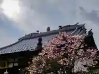 長善寺(東京都)