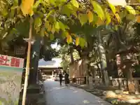 平塚八幡宮(神奈川県)