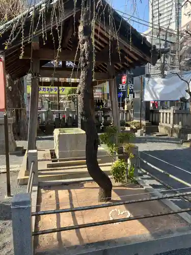 柏神社(千葉県)