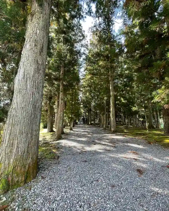 大斎原(熊野本宮大社旧社地)(和歌山県)