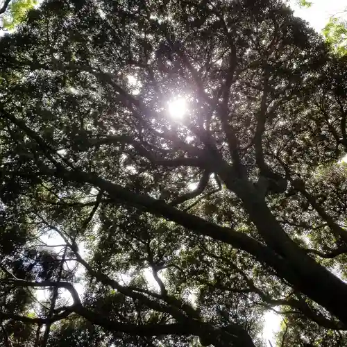 沼尾神社の自然