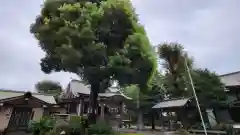 若宮神社の建物その他