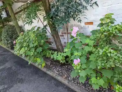 勝巖院(京都府)