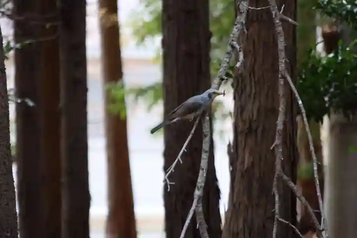 滑川神社 - 仕事と子どもの守り神の動物
