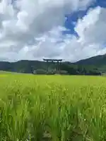 大斎原(熊野本宮大社旧社地)(和歌山県)