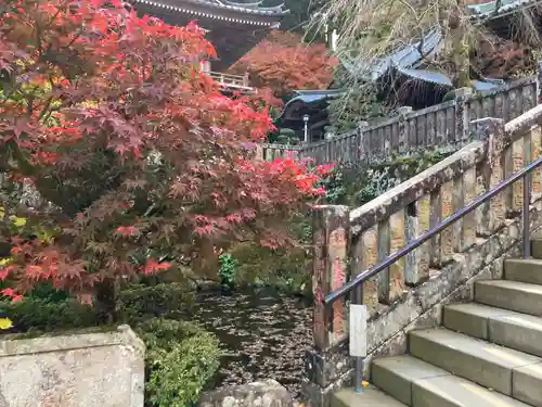 最乗寺（道了尊）(神奈川県)