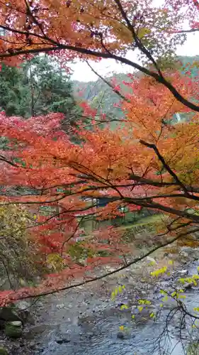 貴船神社の景色