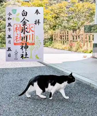 月替り御朱印 5月